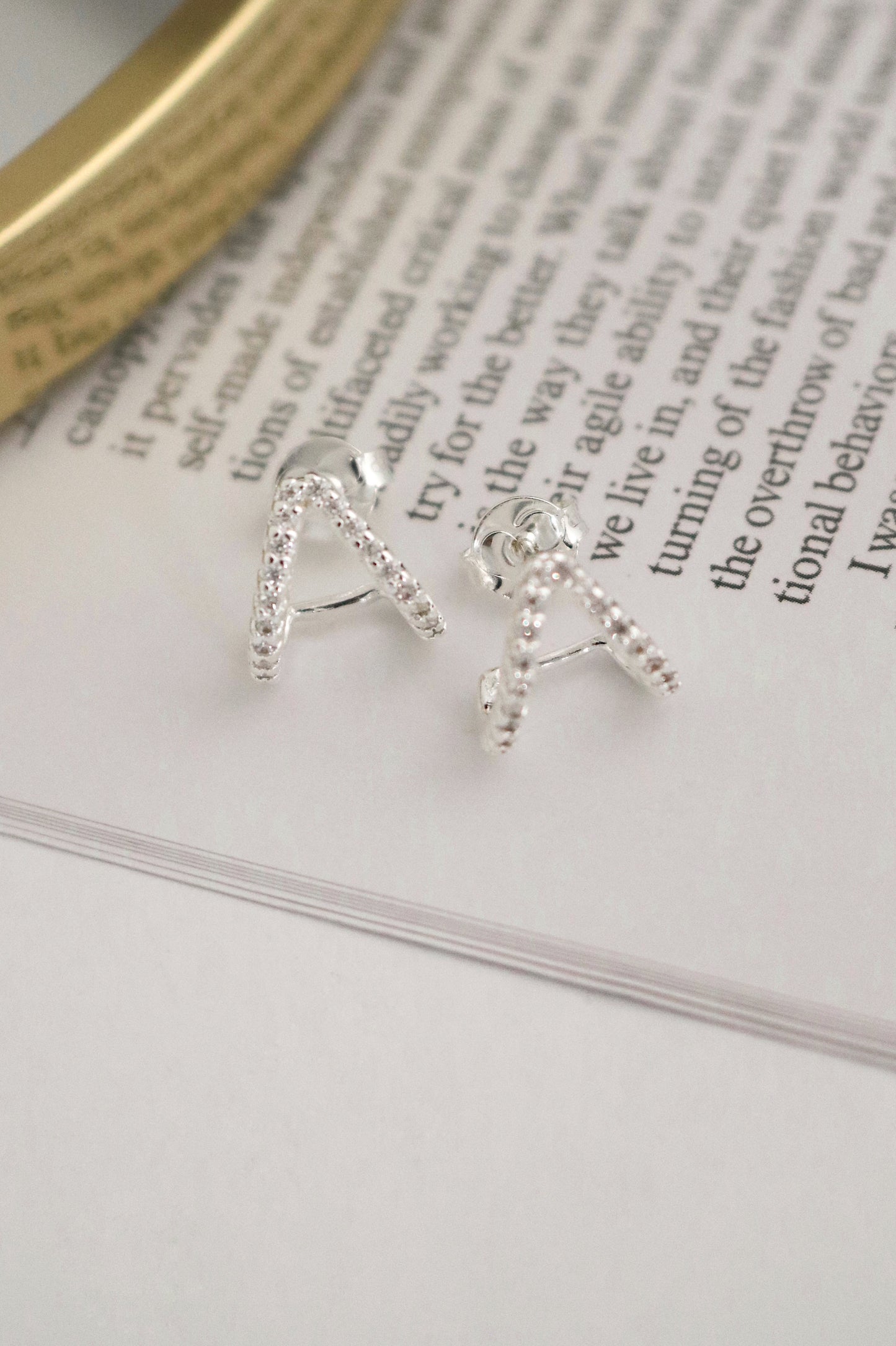 Brinco Laura Cravejado