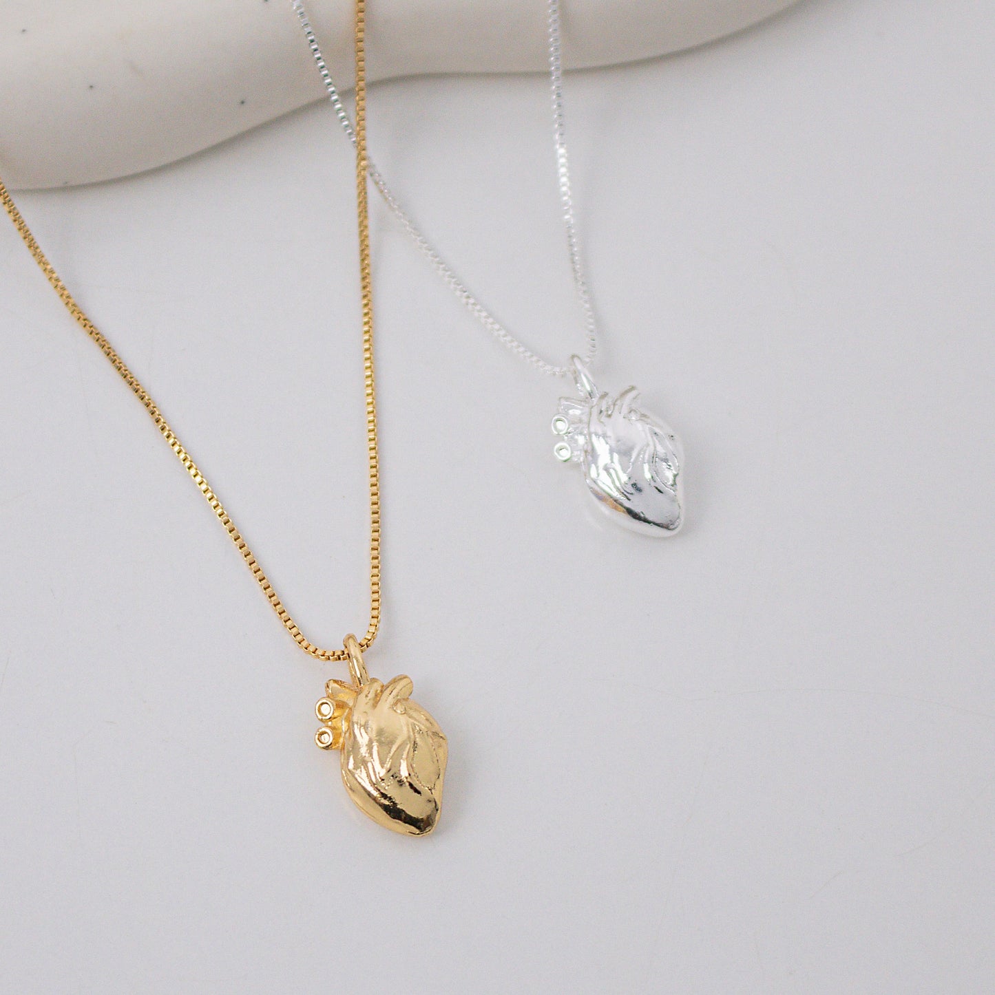 Colar Heart Anatomical