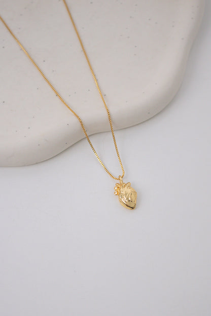 Colar Heart Anatomical