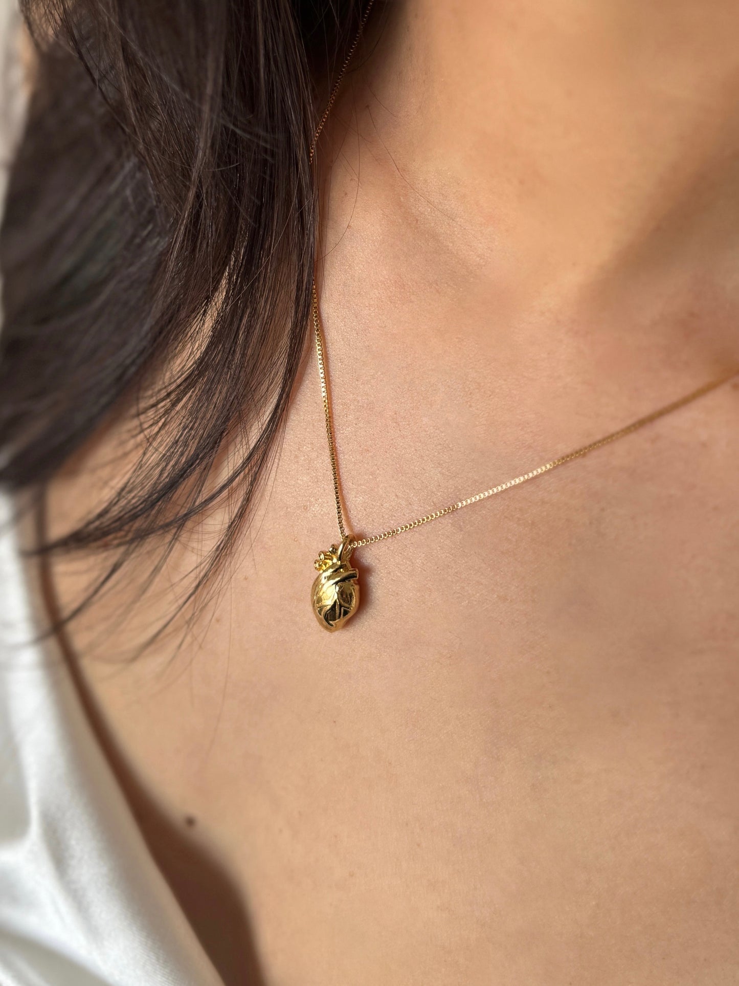 Colar Heart Anatomical