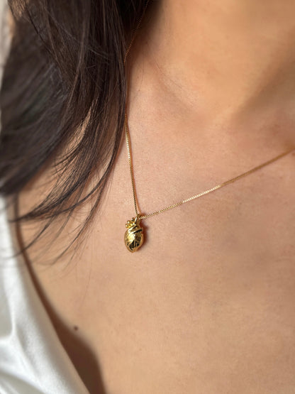 Colar Heart Anatomical