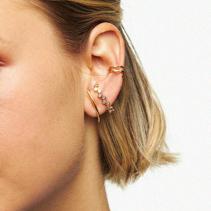 Brinco Ear Hook Line